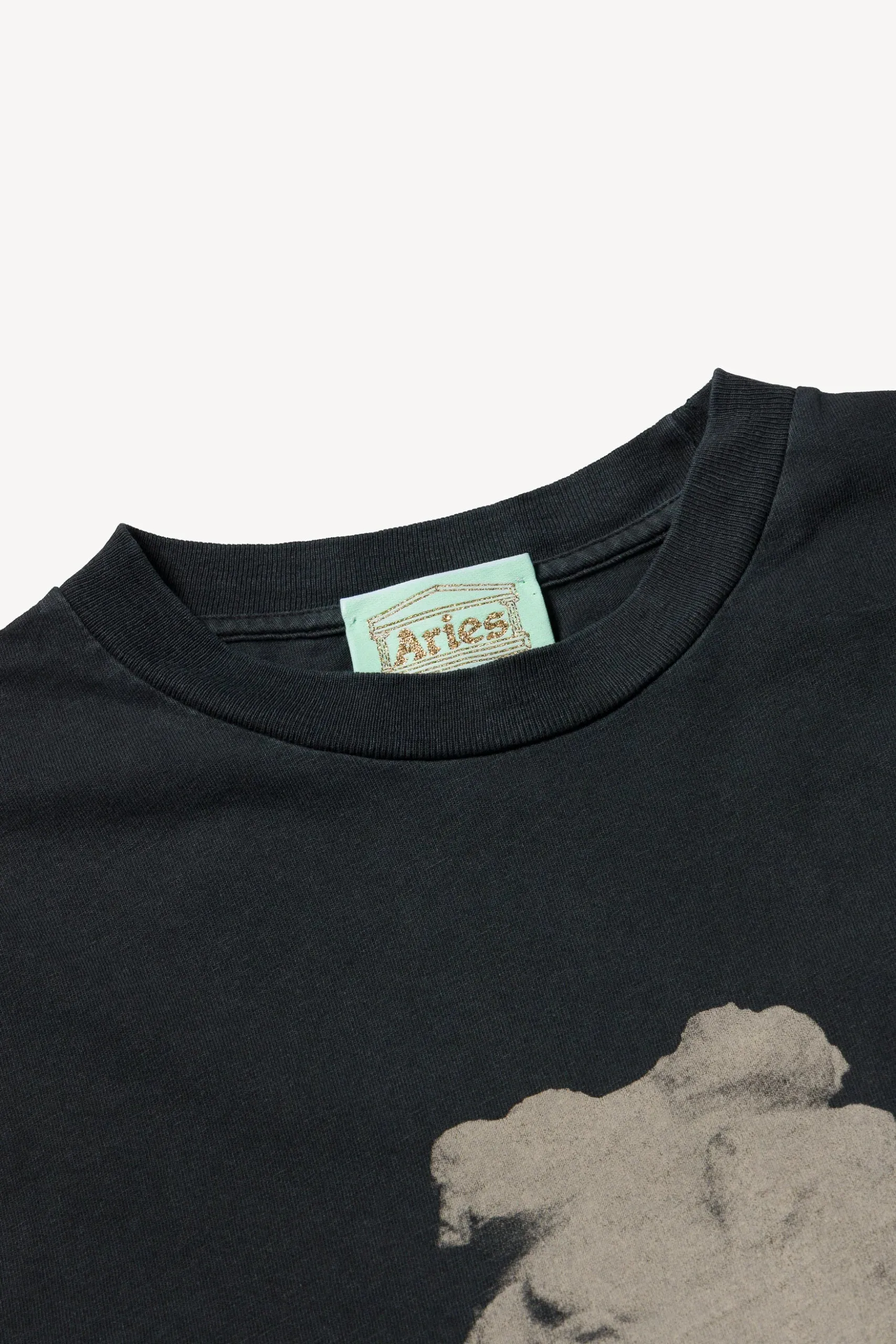 AGED STATUE SS TEE BLACK / ARIES